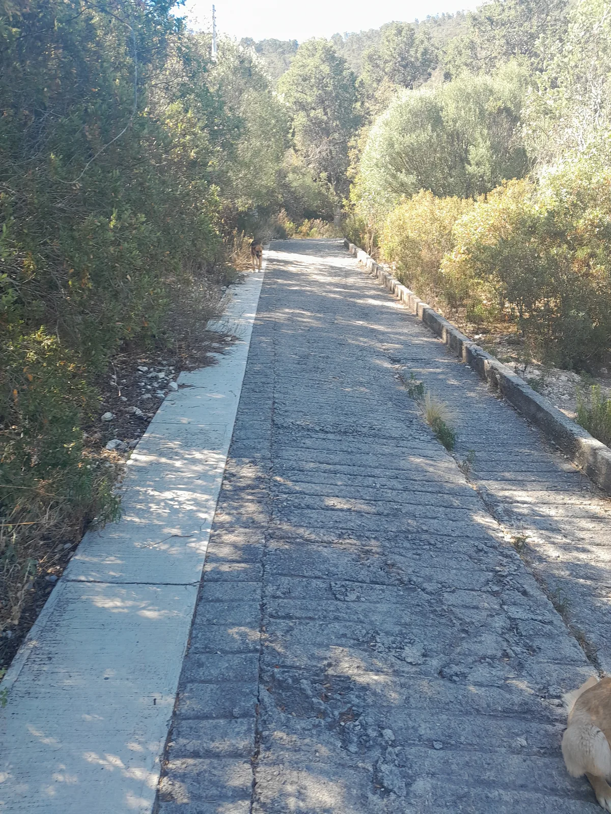 Calle de acceso frente al terreno