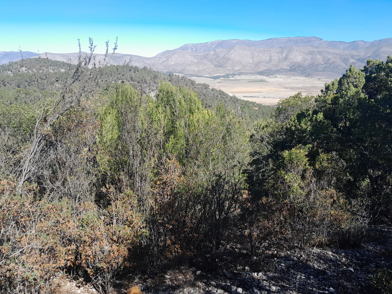 Vista desde el terreno hacia el valle y las montañas