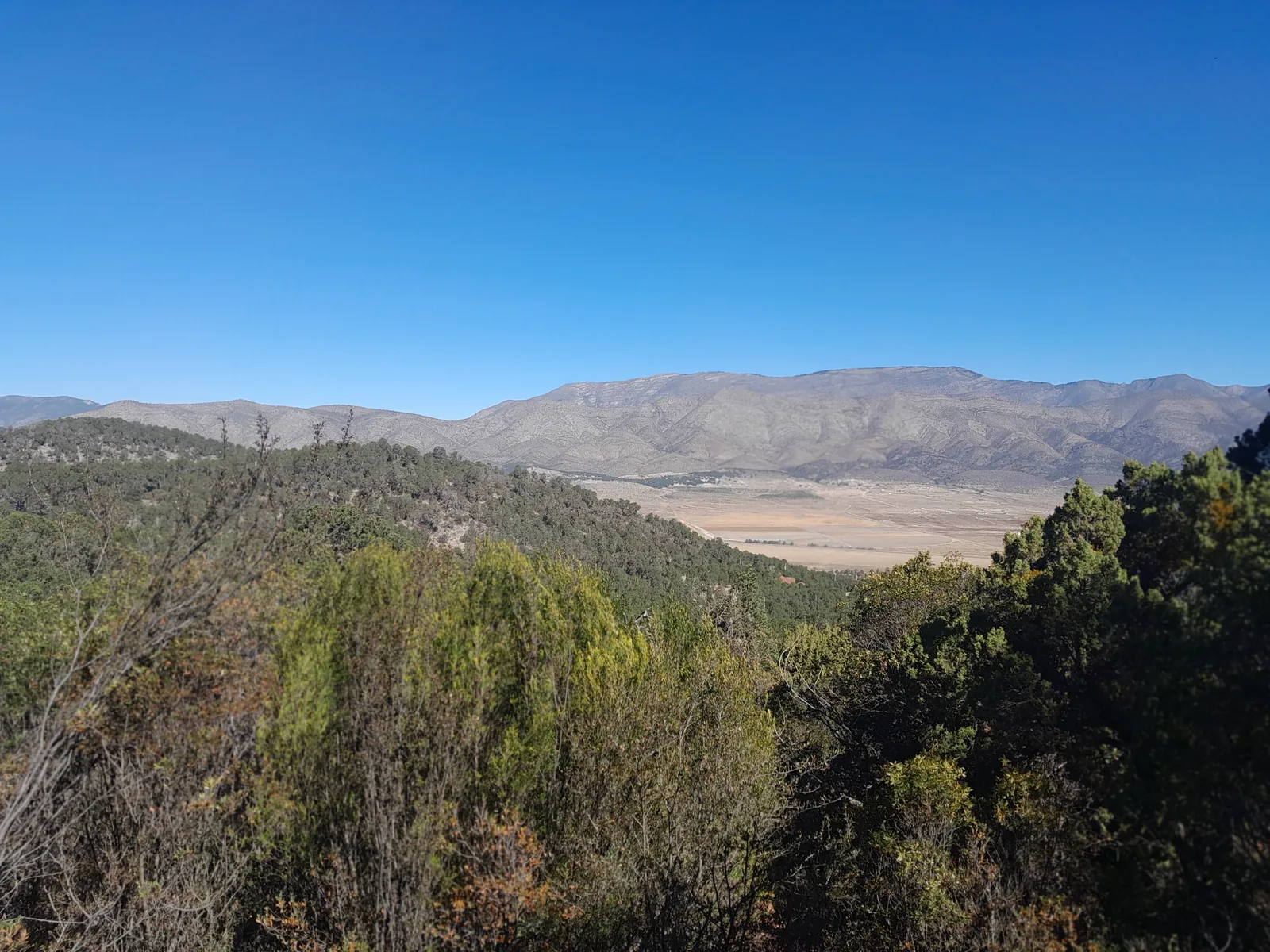Panorámica del valle desde el terreno